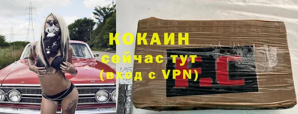 шишки Алзамай