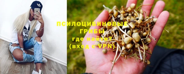 спиды Ладушкин