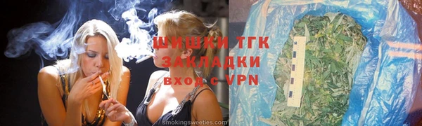 шишки Алзамай